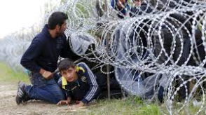 Ավստրիան սկսում է ցանկապատել Հունգարիայի հետ սահմանը